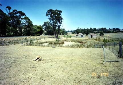 drought effect